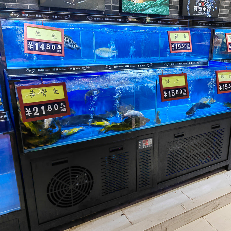 Black multi-functional blue fish tank