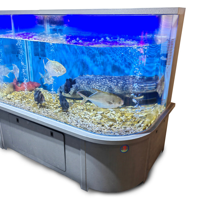 Newest simple supermarket fish tank