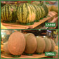 Hot Sell Green Plant Decoration Soft Anti-slip Ring Size Chart For Supermarket