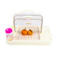 Hot sale supermarket fruit tasting display rack acrylic food sampling tray