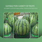 Hot Sell Green Plant Decoration Soft Anti-slip Ring Size Chart For Supermarket