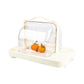 Hot sale supermarket fruit tasting display rack acrylic food sampling tray
